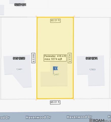 12497 Havenwood Dr, Denham Springs, LA 70726