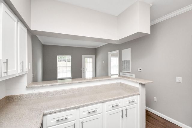 11355 Richmond Avenue 0502, South Houston, TX 77082