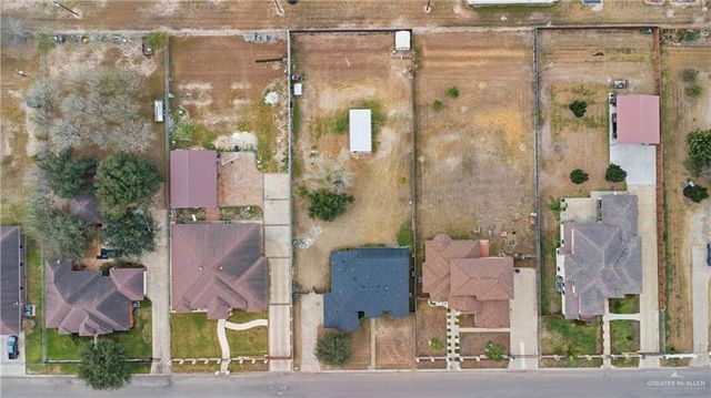 1307 Coy Drive, Alamo, TX 78516