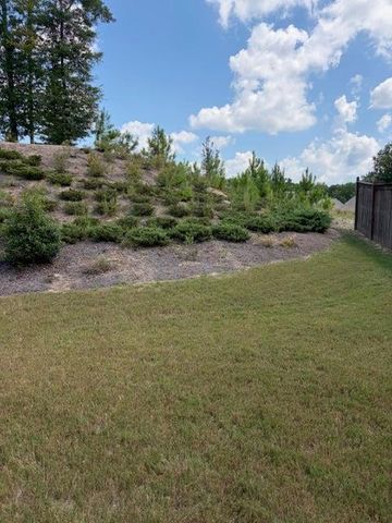 79 Wyevale Court, Braselton, GA 30517