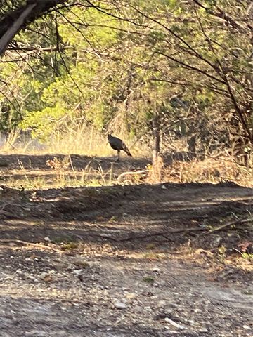 1068 Eagles Bluff Drive, Weatherford, TX 76087