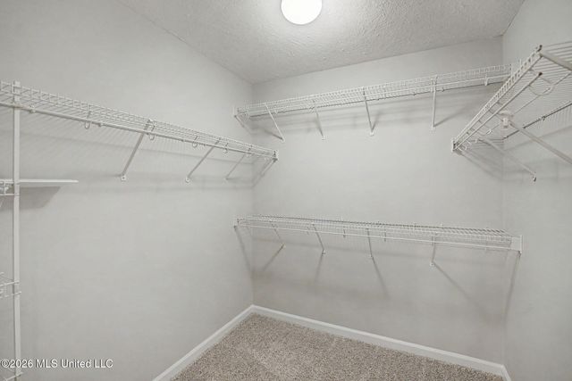 9189 William Paul Drive, Olive Branch, MS 38654
