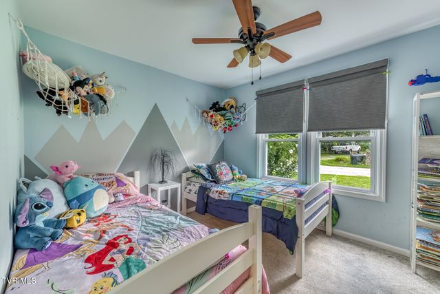 112 Hogum Hollow Road, Roan Mountain, TN 37687
