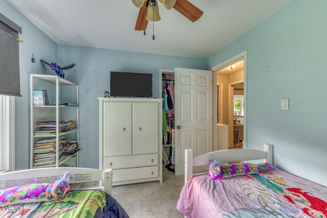 112 Hogum Hollow Road, Roan Mountain, TN 37687