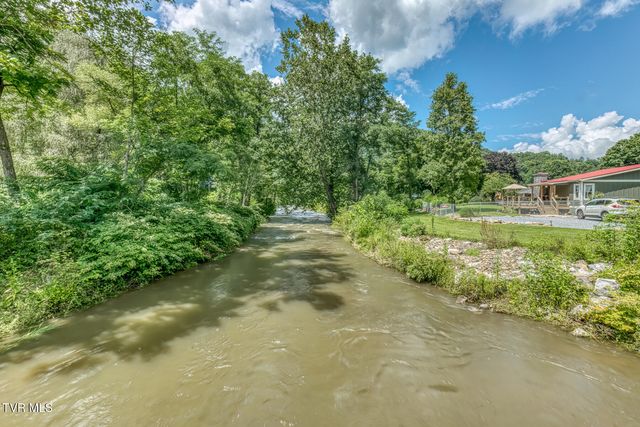 112 Hogum Hollow Road, Roan Mountain, TN 37687