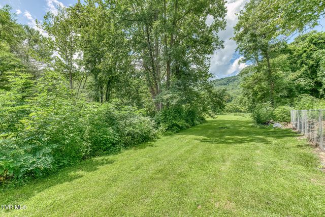 112 Hogum Hollow Road, Roan Mountain, TN 37687