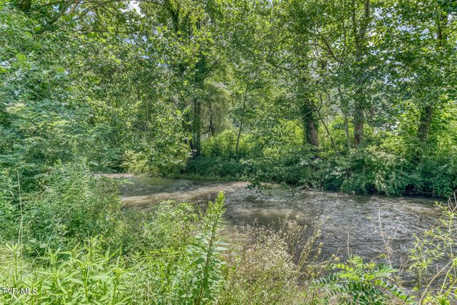 112 Hogum Hollow Road, Roan Mountain, TN 37687