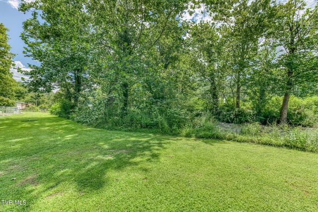 112 Hogum Hollow Road, Roan Mountain, TN 37687