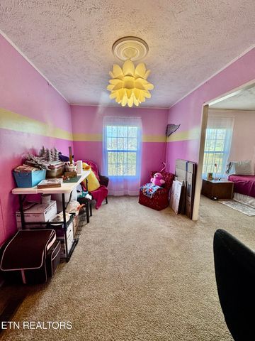 9202 Strawberry Plains Pike, Strawberry Plains, TN 37871