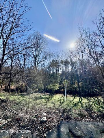 9202 Strawberry Plains Pike, Strawberry Plains, TN 37871