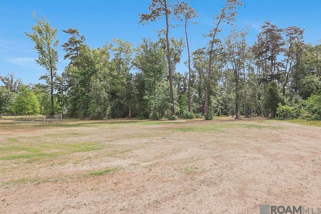 30288 Pine Alley Rd, Springfield, LA 70462