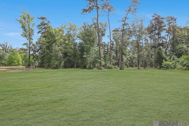 30288 Pine Alley Rd, Springfield, LA 70462