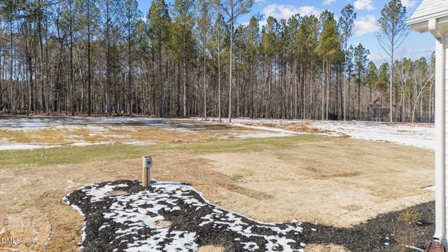 115 Cherry Bark Drive, Youngsville, NC 27596