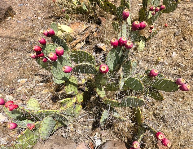 20435 E Wagon Wheel Circle, Black Canyon City, AZ 85324