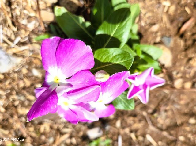 20435 E Wagon Wheel Circle, Black Canyon City, AZ 85324