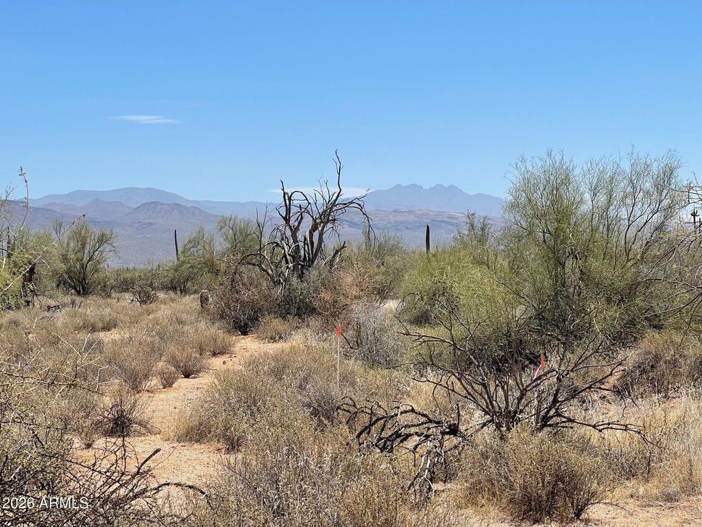 280X1 N 168th Street Street -1, Scottsdale, AZ 85262 — photo 5
