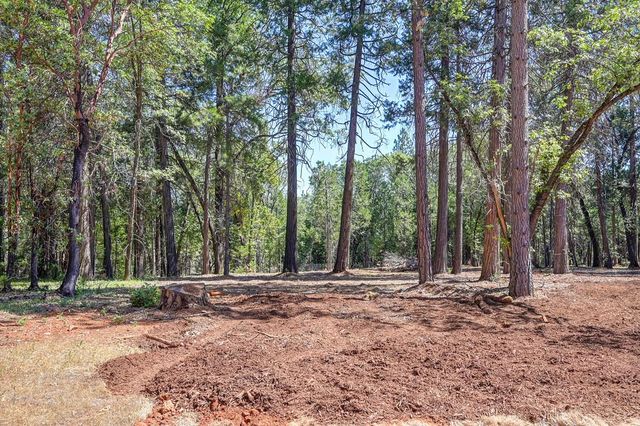 5347 Reservoir Rd, Georgetown, CA 95634