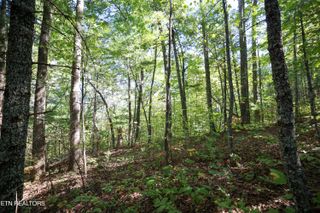 864 Stonegate Way, Townsend, TN 37882