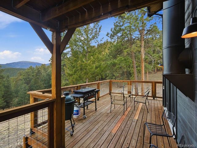 30908 Isenberg Lane, Evergreen, CO 80439