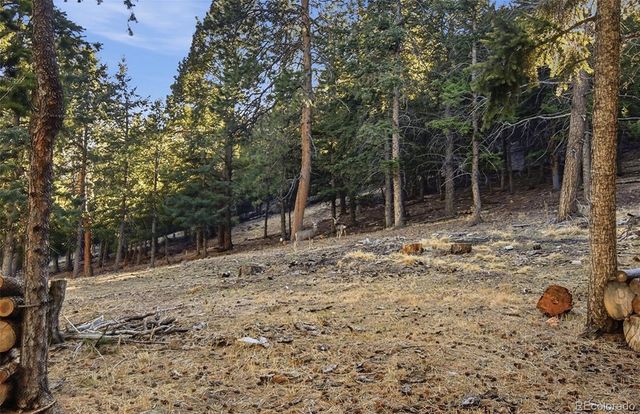 30908 Isenberg Lane, Evergreen, CO 80439