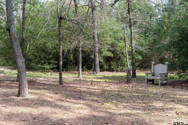 138 GREEN KNOLL, Holly Lake Ranch, TX 75765