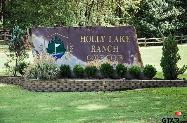 138 GREEN KNOLL, Holly Lake Ranch, TX 75765