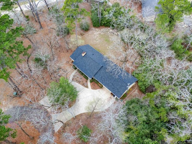 138 GREEN KNOLL, Holly Lake Ranch, TX 75765