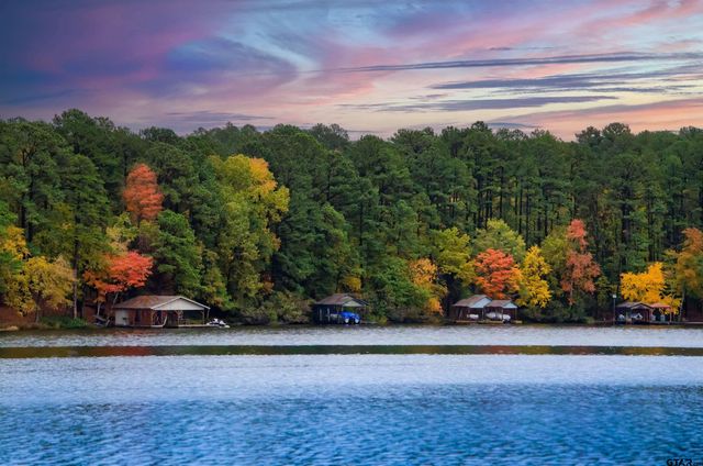 138 GREEN KNOLL, Holly Lake Ranch, TX 75765