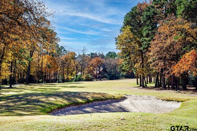 138 GREEN KNOLL, Holly Lake Ranch, TX 75765