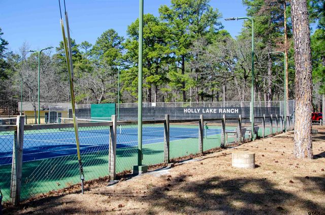 138 GREEN KNOLL, Holly Lake Ranch, TX 75765