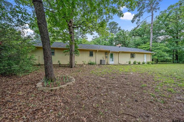 138 GREEN KNOLL, Holly Lake Ranch, TX 75765