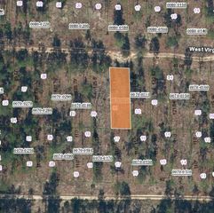 125 WEST VIRGINIA STREET, Hawthorne, FL 32640