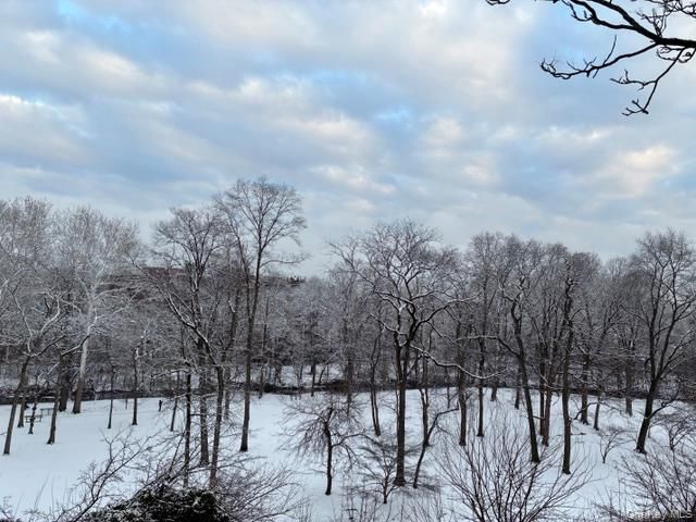 35 Parkview Avenue 5A, Bronxville, NY 10708