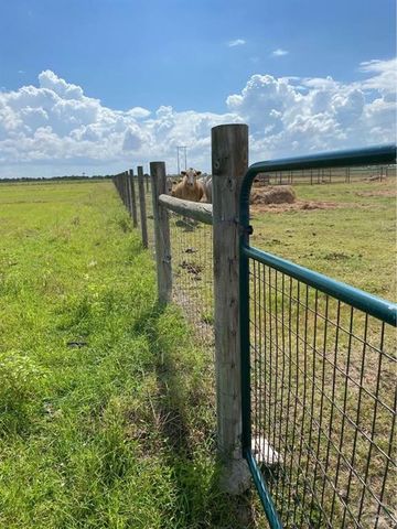 12655 Mile 19 N Road, Edcouch, TX 78538