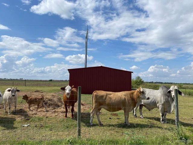 12655 Mile 19 N Road, Edcouch, TX 78538