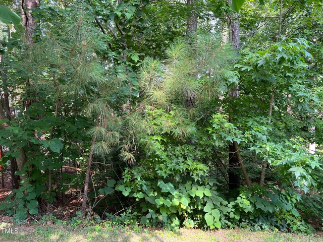 19102 Stone Brook, Chapel Hill, NC 27517