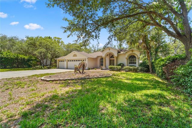 9183 NIGHTINGALE ROAD, Weeki Wachee, FL 34613