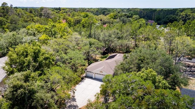 9183 NIGHTINGALE ROAD, Weeki Wachee, FL 34613
