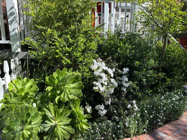 928-930 Scott Street, Palo Alto, CA 94301