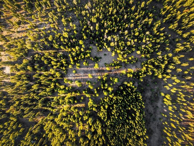 Lot 2 Wheatgrass Meadows, Big Sky, MT 59716