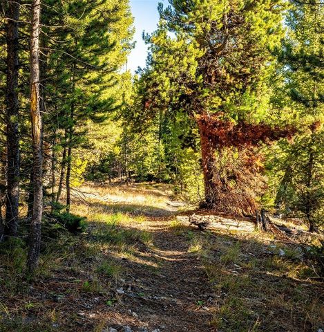 Lot 2 Wheatgrass Meadows, Big Sky, MT 59716