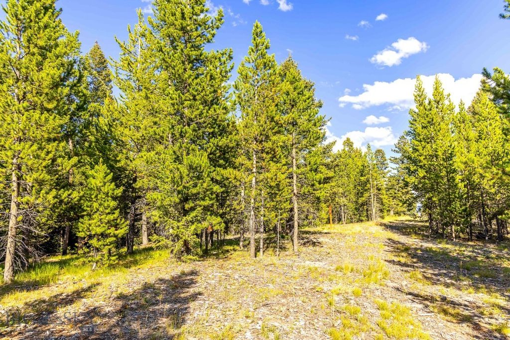 Lot 2 Wheatgrass Meadows, Big Sky, MT 59716 photo 12