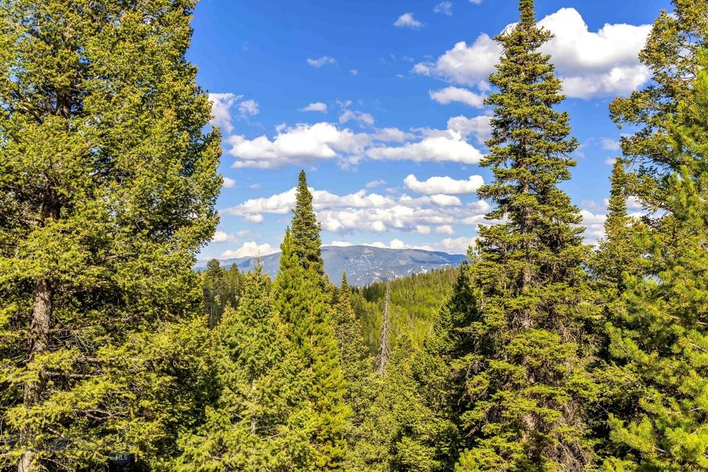 Lot 2 Wheatgrass Meadows, Big Sky, MT 59716 photo 13