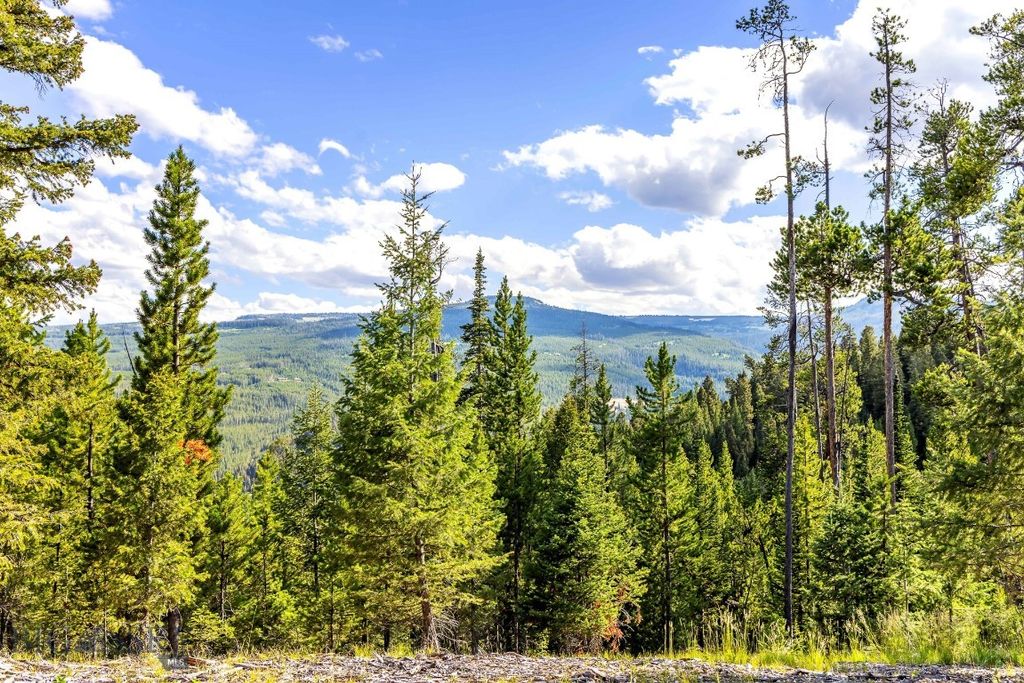 Lot 2 Wheatgrass Meadows, Big Sky, MT 59716 photo 14