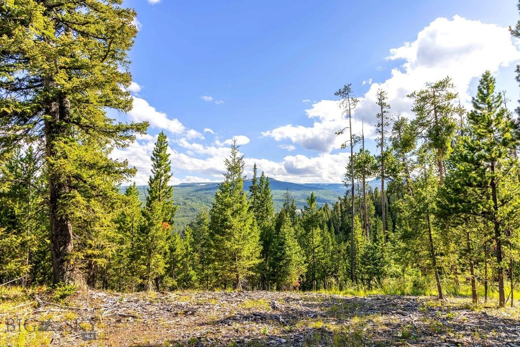 Lot 2 Wheatgrass Meadows, Big Sky, MT 59716 photo 15