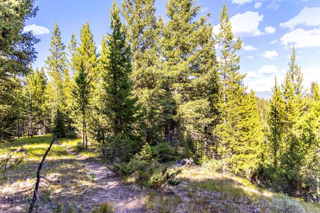 Lot 2 Wheatgrass Meadows, Big Sky, MT 59716 photo 18