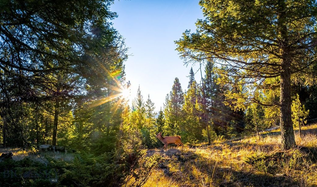 Lot 2 Wheatgrass Meadows, Big Sky, MT 59716 photo 36