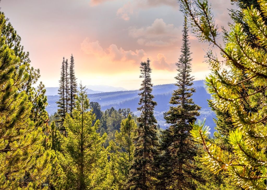 Lot 2 Wheatgrass Meadows, Big Sky, MT 59716 photo 38