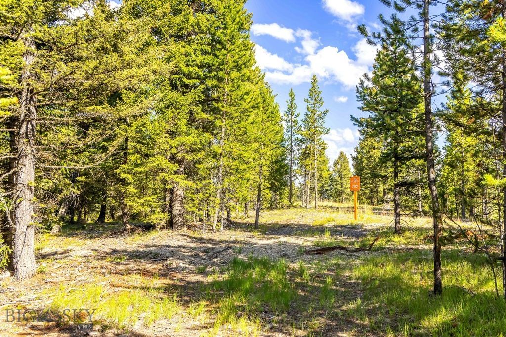 Lot 2 Wheatgrass Meadows, Big Sky, MT 59716 photo 5