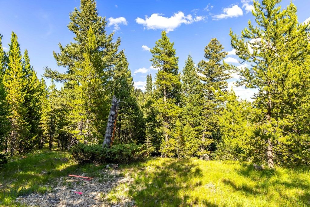 Lot 2 Wheatgrass Meadows, Big Sky, MT 59716 photo 6